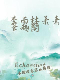 李南林素素小说笔趣阁