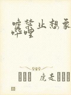 嘘禁止想象哔哩哔哩