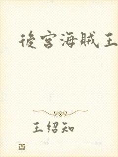 后宫海贼王