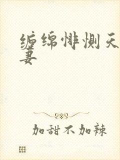 缠绵悱恻天价前妻