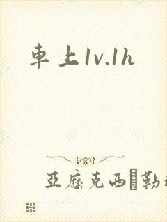 车上1v.1h