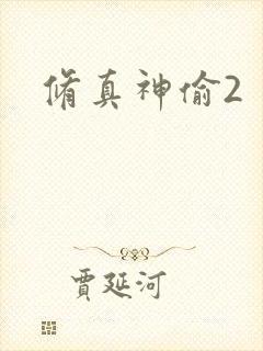 修真神偷2