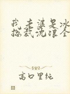 我老婆是冰山女总裁沈浪全集