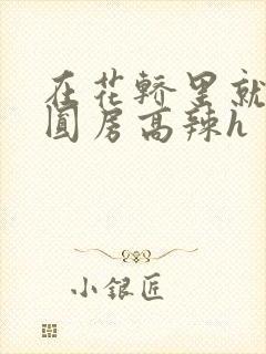 在花轿里就开始圆房高辣h