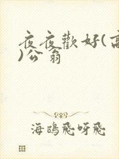 夜夜欢好(高h)公翁