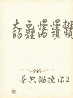 大龟慢慢挺进我的体内视频