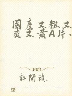 国产又粗又猛又爽又黄A片小说