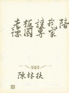 老板让我陪两个德国专家