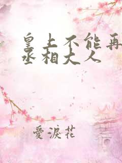 皇上不能再进了丞相大人