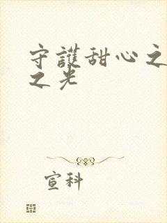 守护甜心之星辰之光