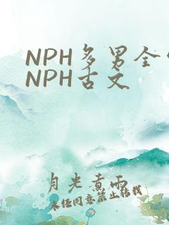 NPH多男全处NPH古文