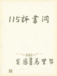 115评书网