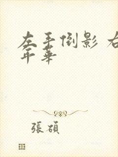左手倒影 右手年华