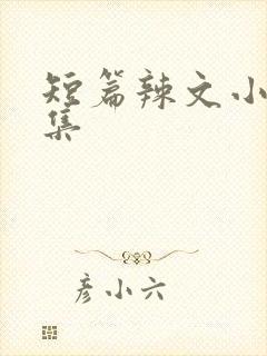 短篇辣文小说合集