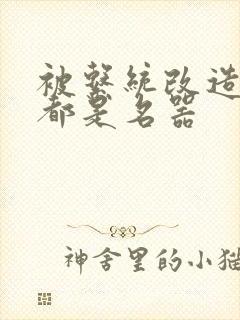 被系统改造全身都是名器