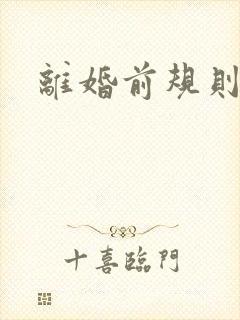 离婚前规则小说