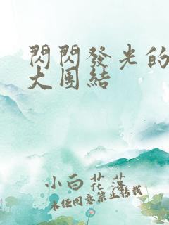 闪闪发光的小说大团结