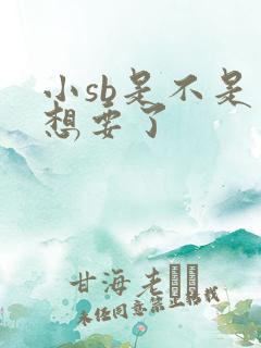 小sb是不是又想要了