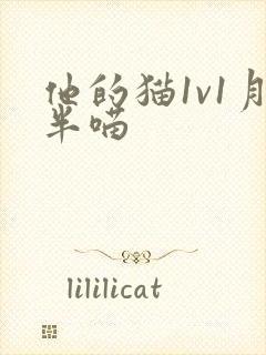 他的猫1v1月半喵
