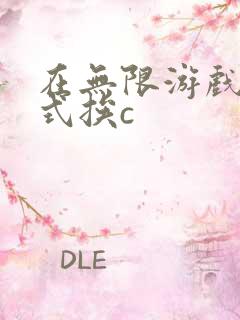 在无限游戏里花式挨c