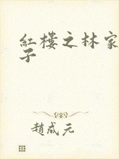 红楼之林家庶长子