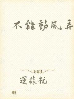 不能动风弄