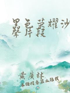 黑色荣耀沙发原声片段