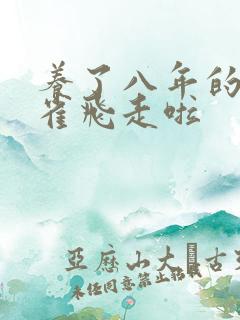 养了八年的金丝雀飞走啦