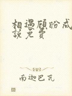 相遇顾盼成欢小说免费