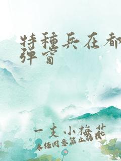 特种兵在都市无弹窗