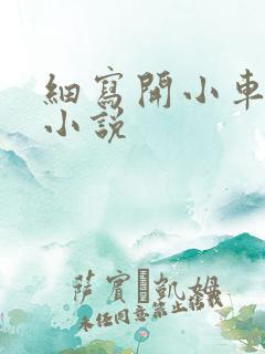 细写开小车车的小说