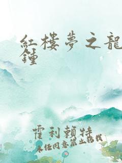 红楼梦之龙套秦钟