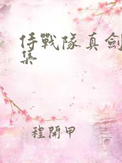 侍战队真剑者全集