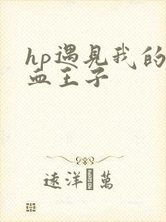 hp遇见我的混血王子