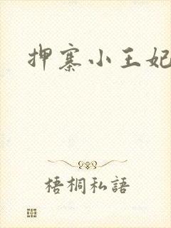 押寨小王妃