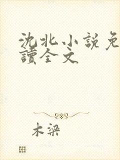 沈北小说免费阅读全文