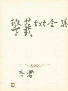 班花txt全集下载