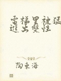 电梯里被猛烈的进出双性