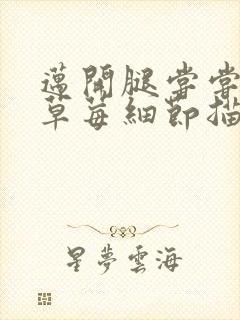 迈开腿尝尝你的草莓细节描写