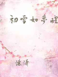 初雪如梦醒