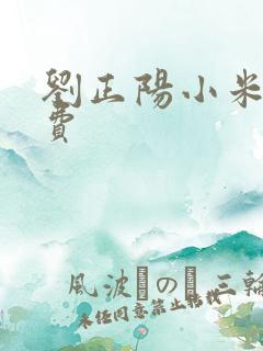 刘正阳小米多免费