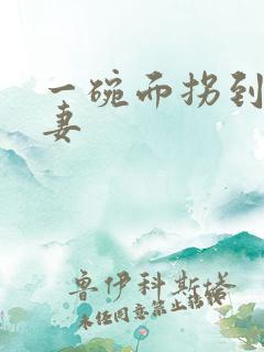 一碗面拐到美艳妻