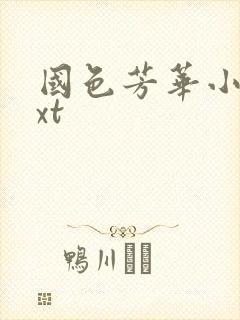 国色芳华小说txt