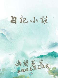 日记小说