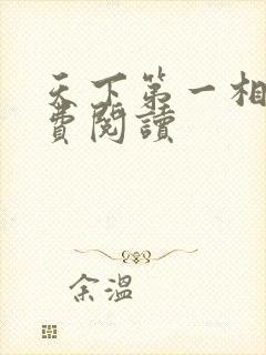 天下第一相书免费阅读