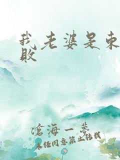 我老婆是东方不败