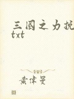 三国之力挽狂澜txt