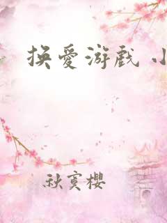 换爱游戏 小说
