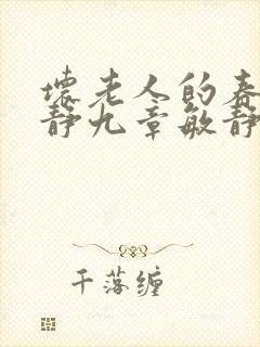 坏老人的春天敏静九章敏静