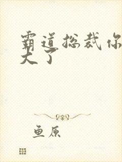 霸道总裁你的太大了